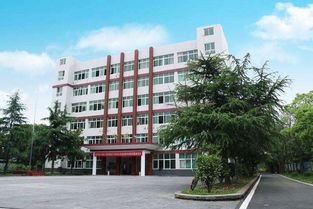 永州市海嘉中等職業(yè)技術(shù)學校視角 中國職場中具有競爭力的小語種與公路與路面工程領(lǐng)域